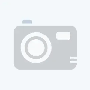 Anem Co Levan Fucsia